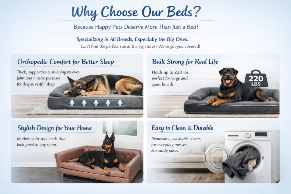 Large breed orthopedic dog bed with washable cover, heavy-duty support, and stylish sofa design for home interiors